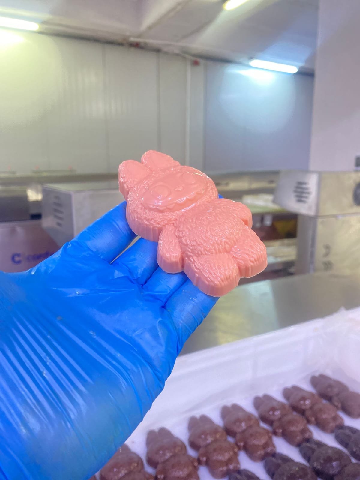 Coniglio Misterioso da Collezione Edizione Limitata Fix Chocolate - Assortito (60g-80g)