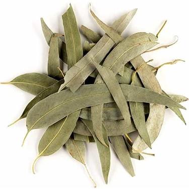 Arifoglu | Eucalyptus Leaves (Plain Eucalyptus Tea) - TryAladdin