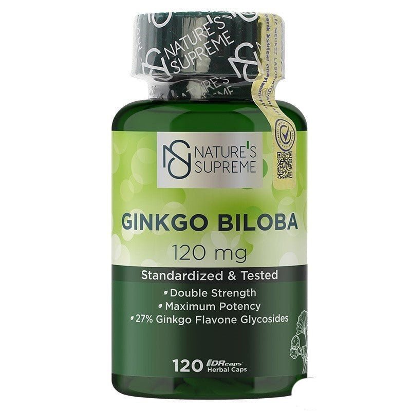 Nature's Supreme Ginkgo Biloba 120 mg 120 Tablets - TryAladdin